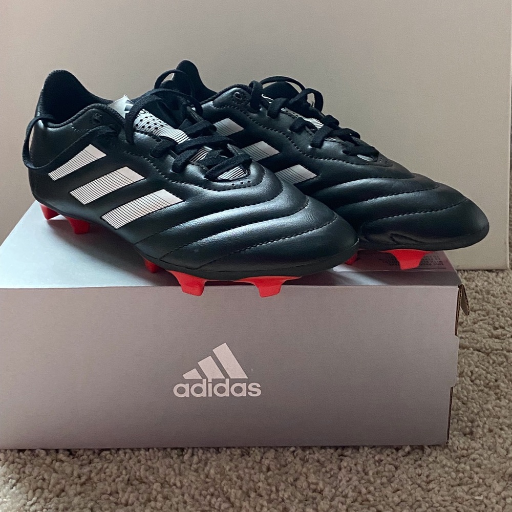 goletto 6 firm ground cleats